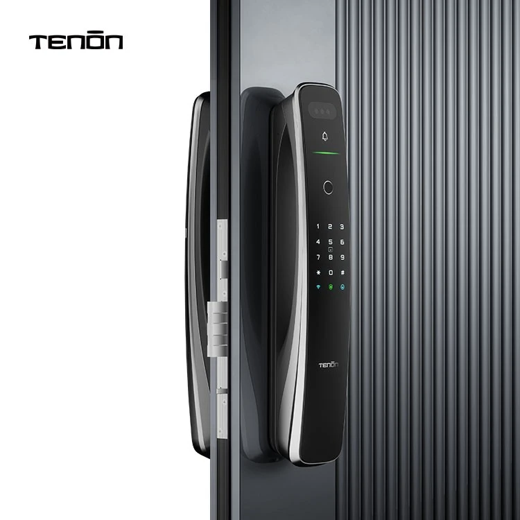 3D Face Recognition Door Lock price