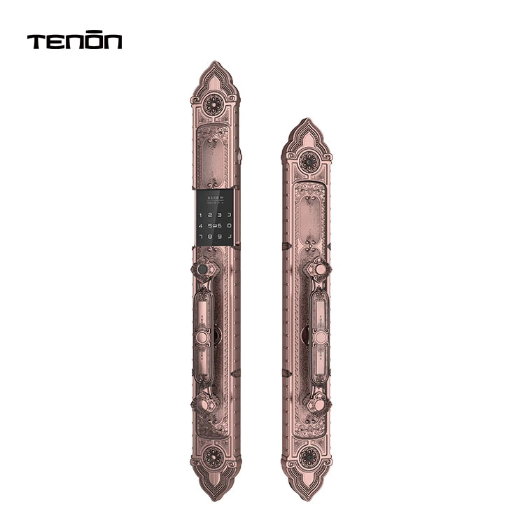 Luxury Antique Smart Door Lock